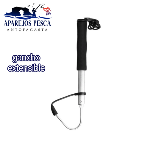 Gancho extensible